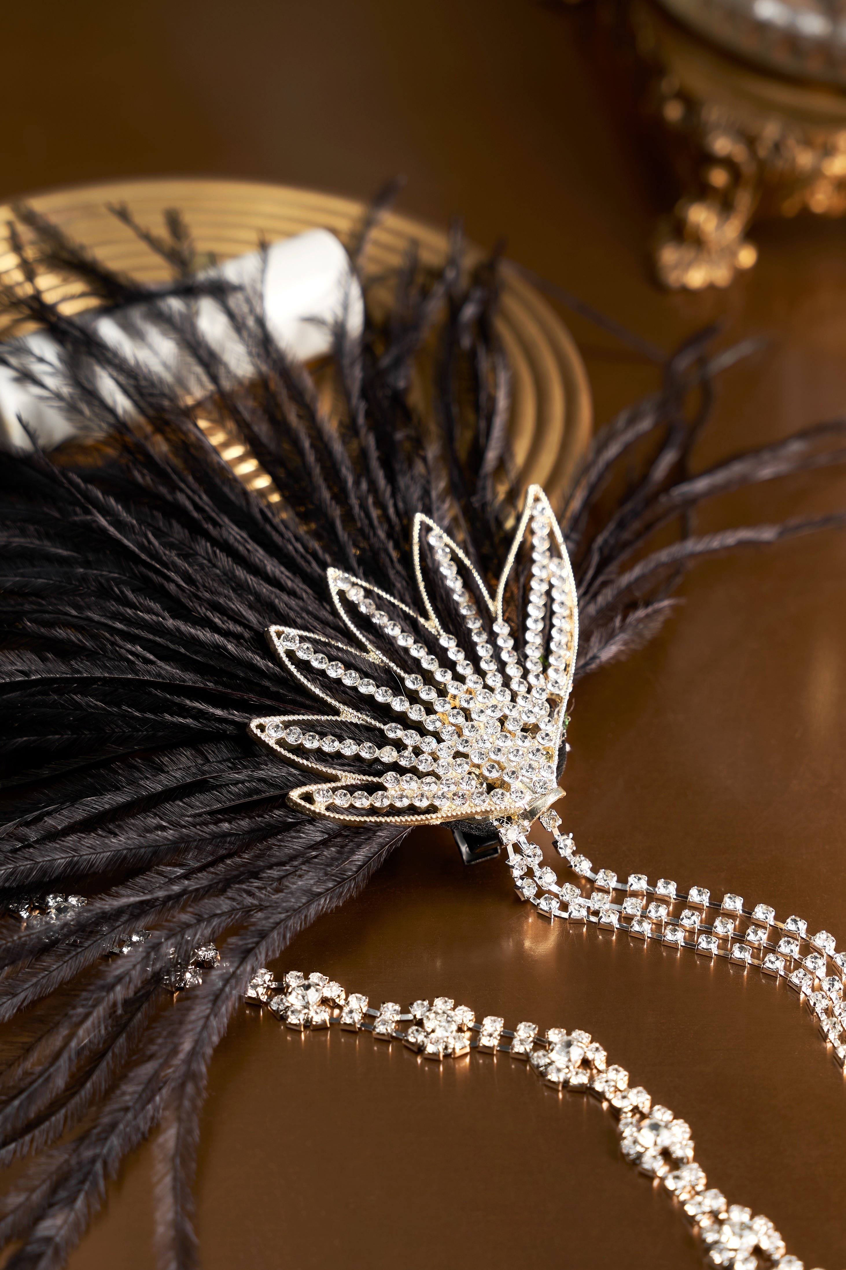 Rhinestone Beaded Feather Headband | Black | 3